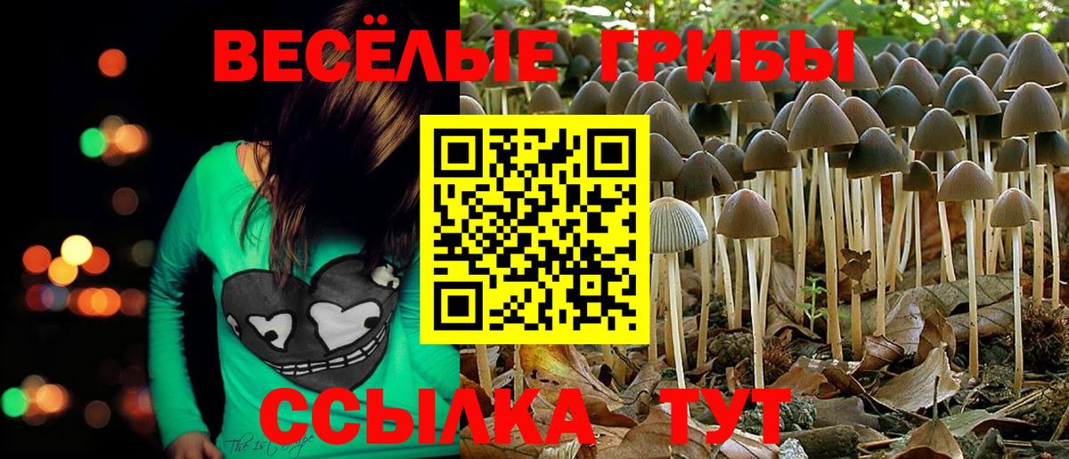 Каменка  Галлюциногенные грибы мицелий  Вход с VPN  Галлюциногенные грибы MAGIC MUSHROOMS 